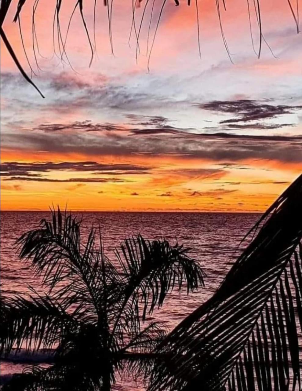 Hostal Corales Tolú Dış mekan fotoğraf