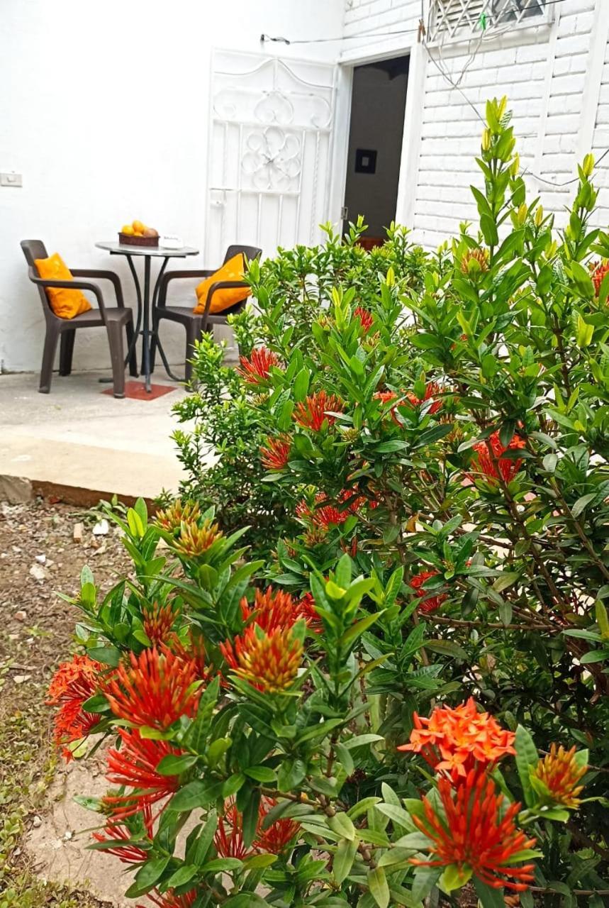 Hostal Corales Tolú Dış mekan fotoğraf