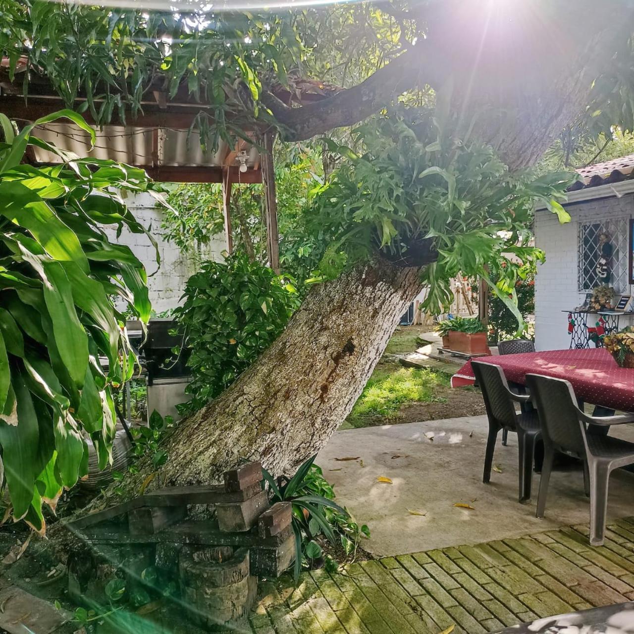 Hostal Corales Tolú Dış mekan fotoğraf